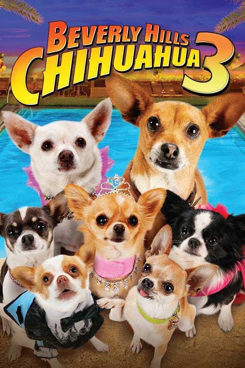 Cziłała z Beverly Hills 3 / Beverly Hills Chihuahua 3 (2012) PL.720p.BDRip.XviD.AC3-ELiTE / Lektor PL