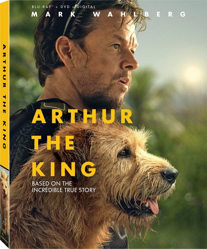 Mój pies Artur / Arthur the King (2024) PLDUB.MULTi.1080p.BluRay.TrueHD.ATMOS.MA.7.1.x264-P2P / Polski Dubbing DD 5.1 i Napisy PL