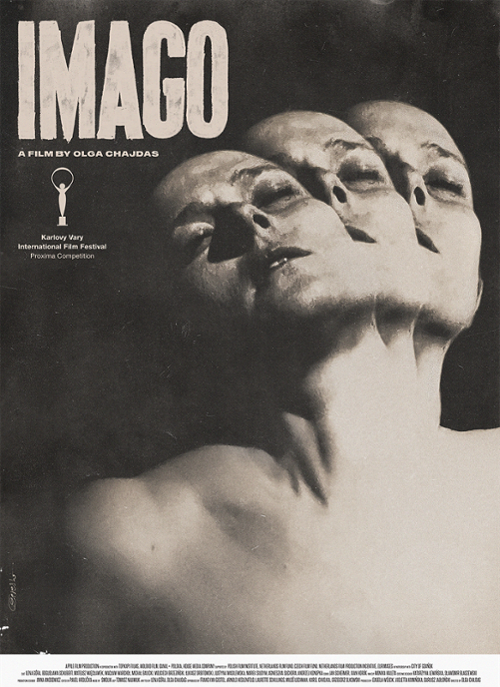 Imago (2023) PL.1080p.AMZN.WEB-DL.H.264.DDP2.0-FOX / Polska Produkcja